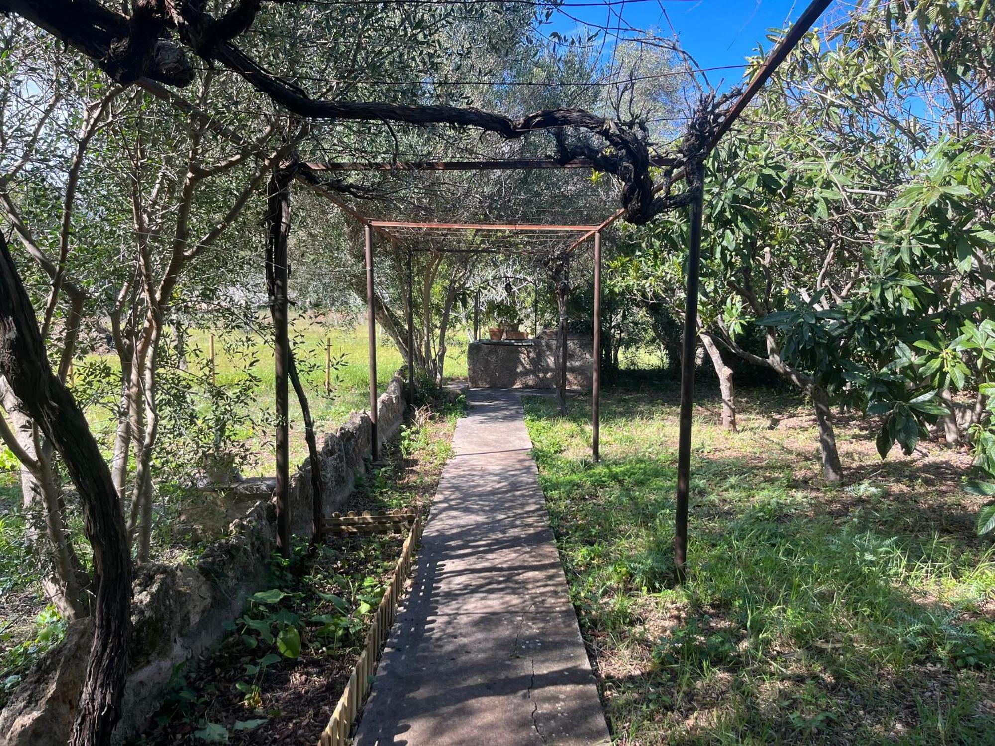 Villa Estel - La Goleta De Mar & Pollenca